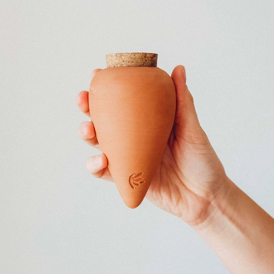 Olla watering pot — Terracotta