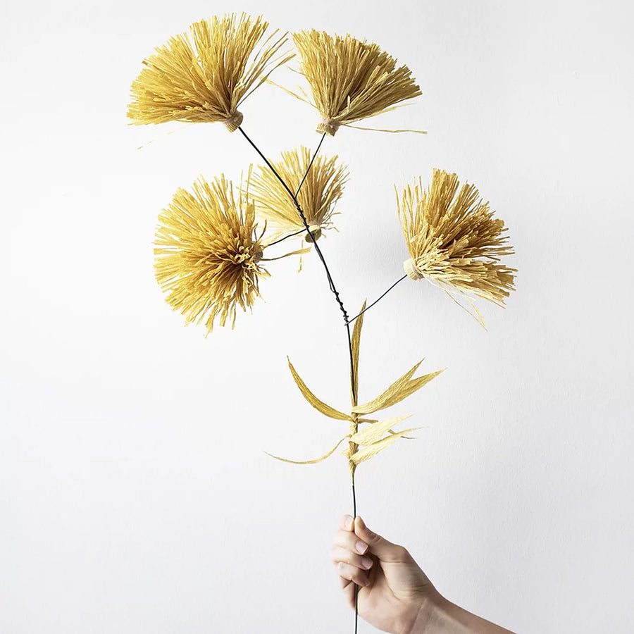 Een samenwerking tussen de ontwerpster Federica Bubani en de bloemenkunstenaar Andrea Merendi. De vazen zijn met de hand gemaakt in vuurvast terracotta, en gecarboneerd door materiële texturen. De bloem werd vervaardigd uit crêpepapier.