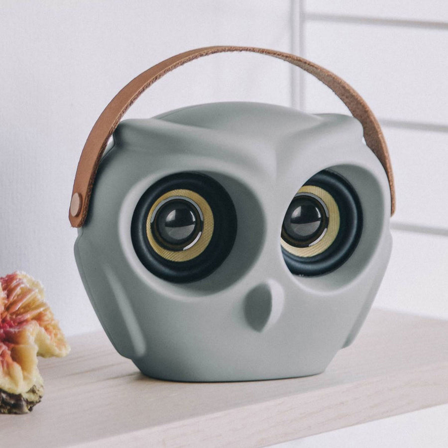 Deze aOwl draadloze bluetooth speaker van Kreafunk is een echte blikvanger met een haarscherp geluid.